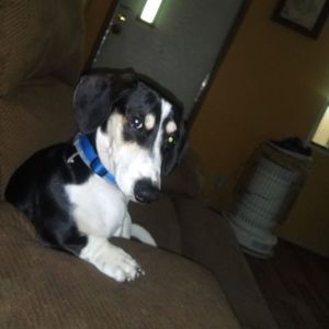 Meet your Posher, Judy